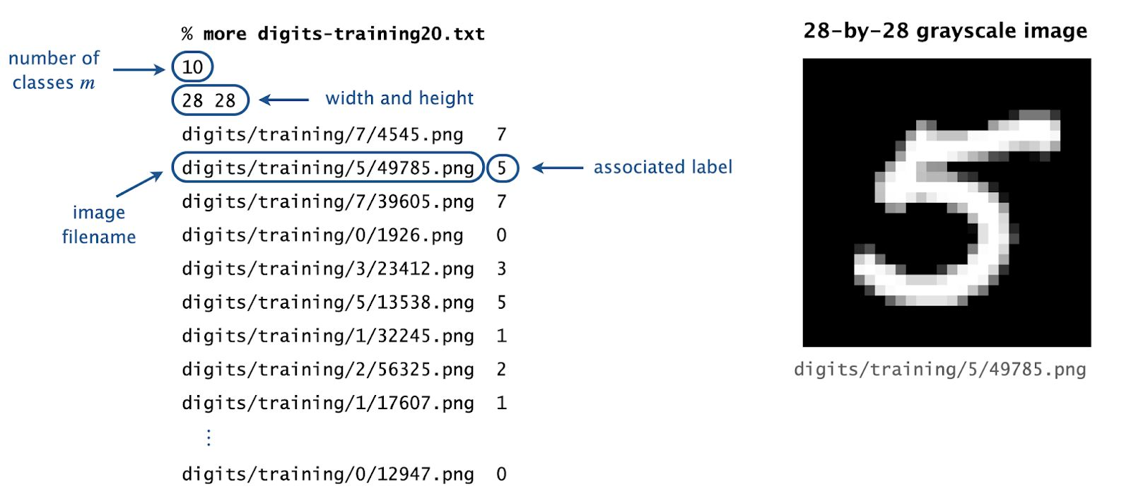 Input file example