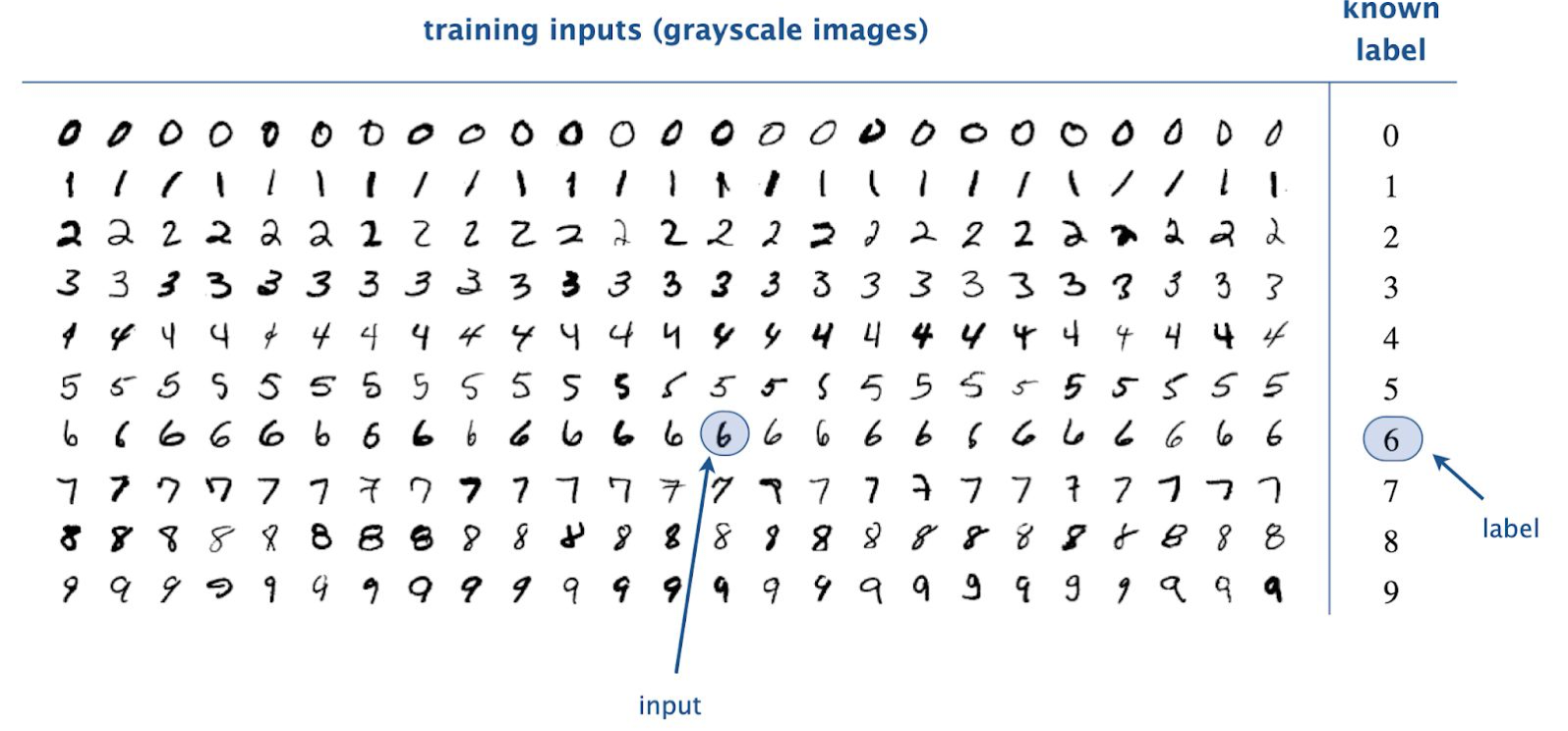 Training data